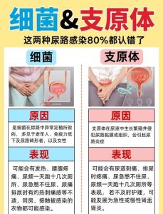 绝经后尿路感染为何更常见?-两性知识丨两性健康--你想了解的我都知道