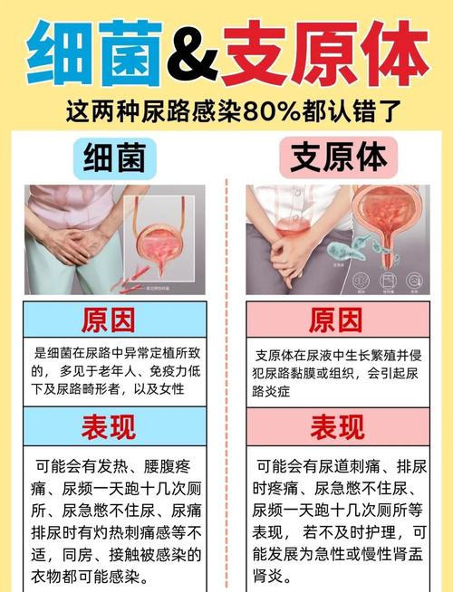 绝经后尿路感染为何更常见