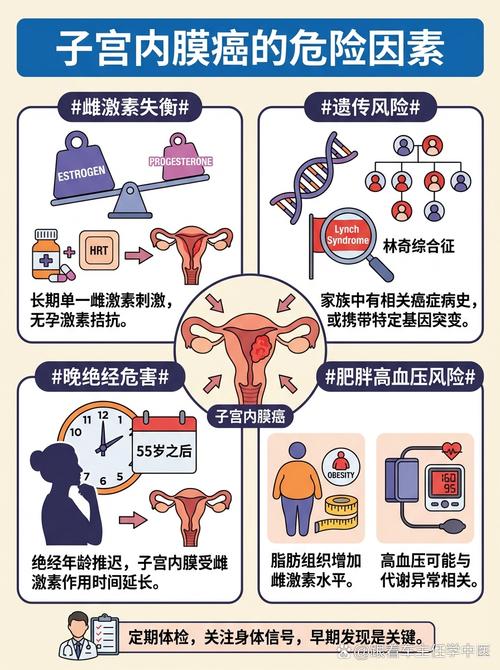子宫内膜癌的高危人群有哪些