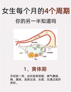 黄体期性欲会下降吗?-两性知识丨两性健康--你想了解的我都知道