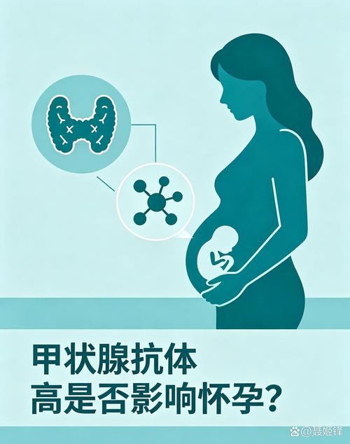 甲状腺抗体高会容易流产吗