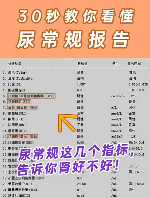 尿培养要做几次才准
