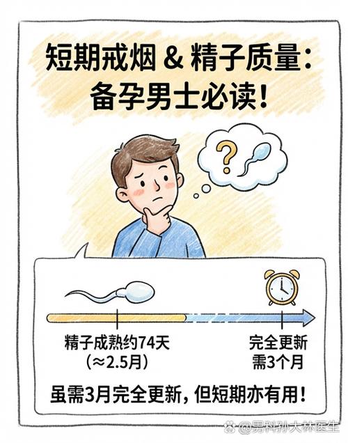 戒烟多久精液质量能改善
