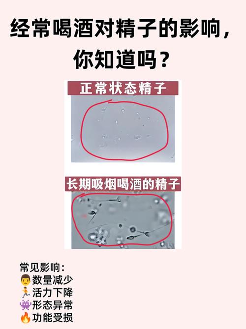 长期喝酒对精子有什么影响