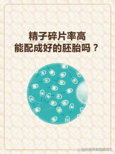 碎片率高会影响胚胎质量吗？一文说清原因和应对方法-两性知识丨两性健康--你想了解的我都知道