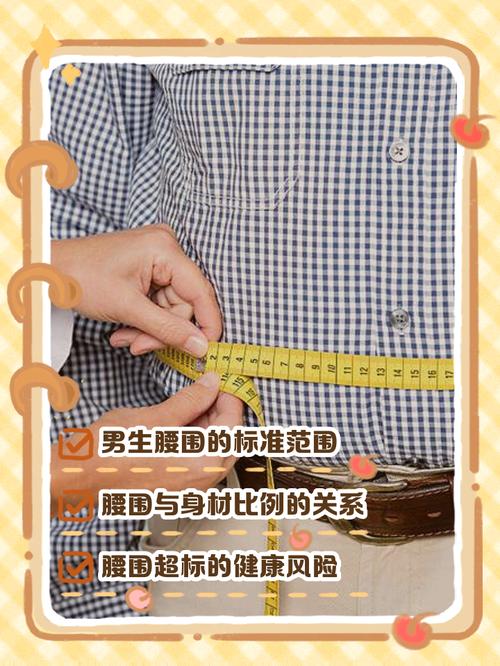 腰围超标影响精子吗