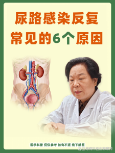 尿路感染反复发作，查因其实就这几步-两性知识丨两性健康--你想了解的我都知道