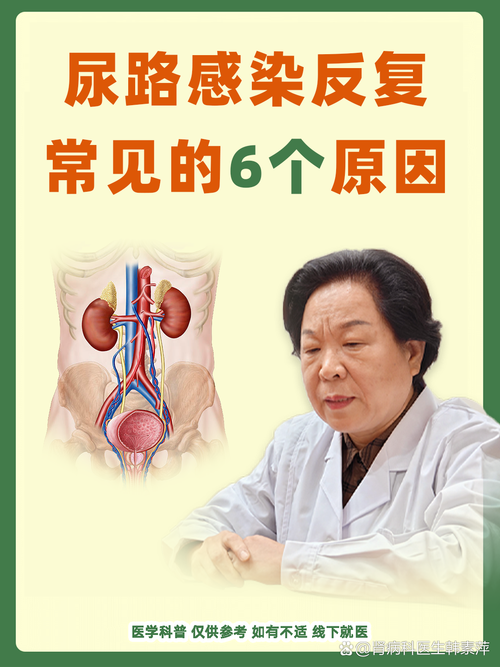 尿路感染反复发作怎么查因-示意图