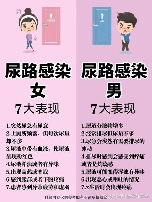 尿路感染反复发作怎么查因-相关配图