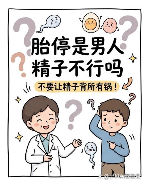 反复胎停该不该查男方精子-相关配图
