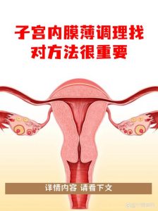 内膜薄想长起来，试试这些科学办法-两性知识丨两性健康--你想了解的我都知道