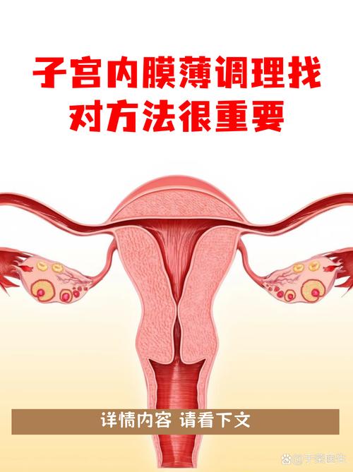 内膜薄怎样才能长起来-相关配图