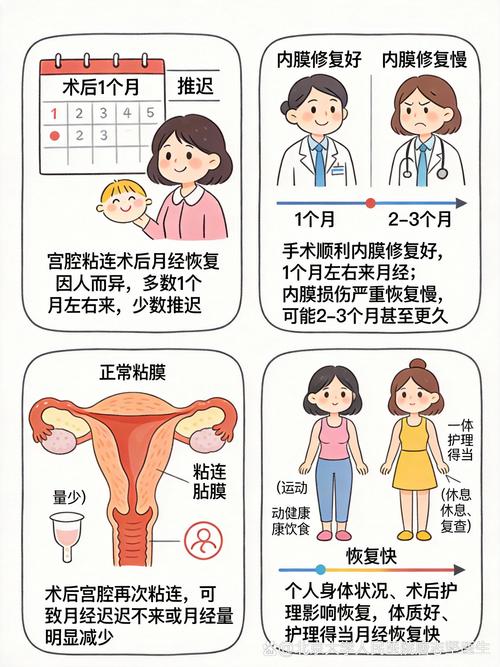 宫腔粘连术后月经能恢复吗