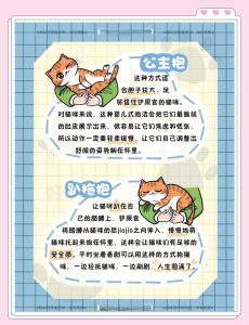 恋爱中,伴侣对宠物的态度不一样该怎么磨合?-两性知识丨两性健康--你想了解的我都知道