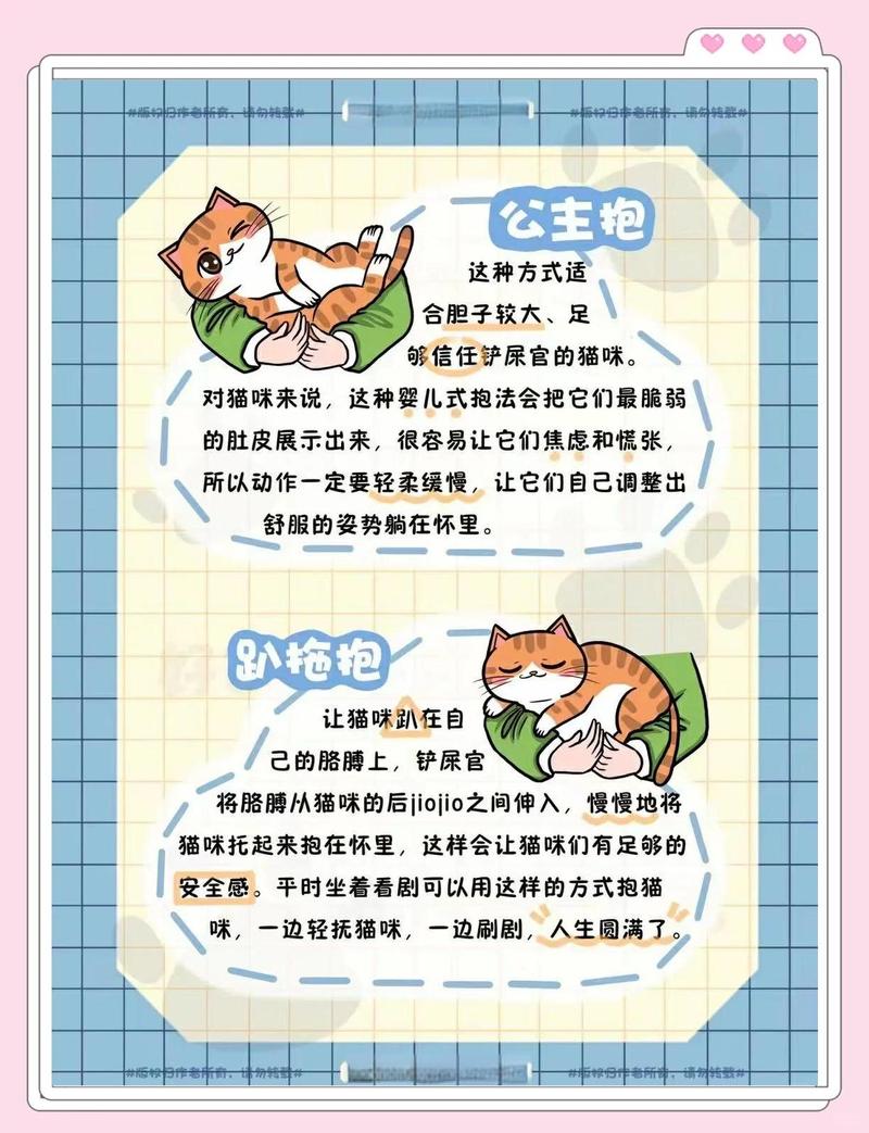 恋爱中如何应对伴侣对宠物的态度