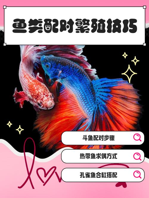恋爱中如何应对伴侣养鱼暧昧