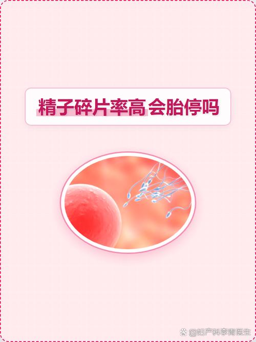 碎片率正常了还会胎停吗