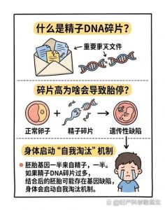 碎片率正常了还会胎停吗?-两性知识丨两性健康--你想了解的我都知道