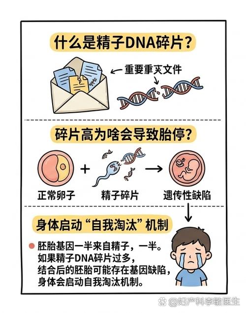 碎片率正常了还会胎停吗