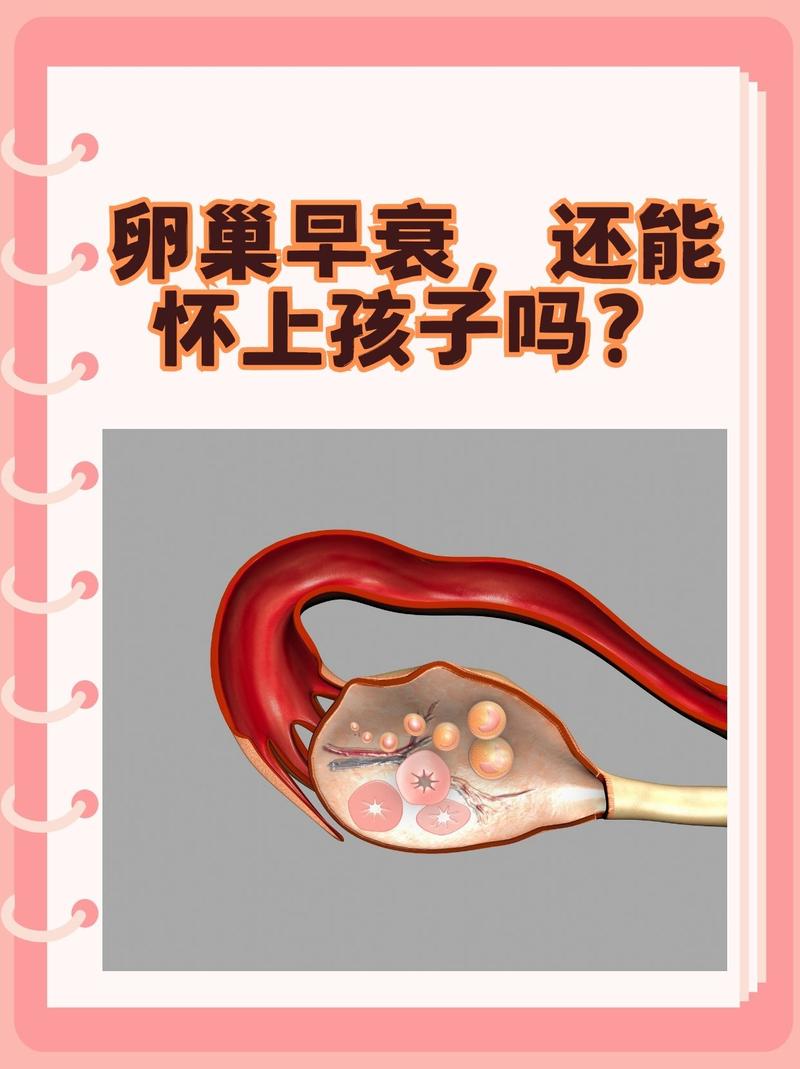 卵巢早衰患者能供卵怀孕吗