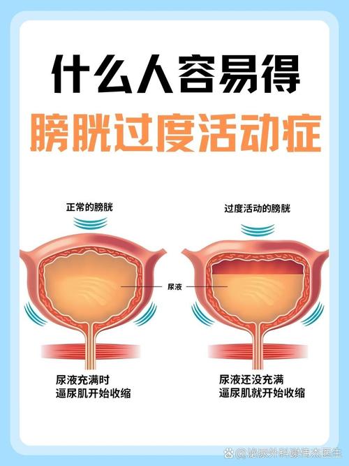 性欲低和膀胱过度活动有关吗