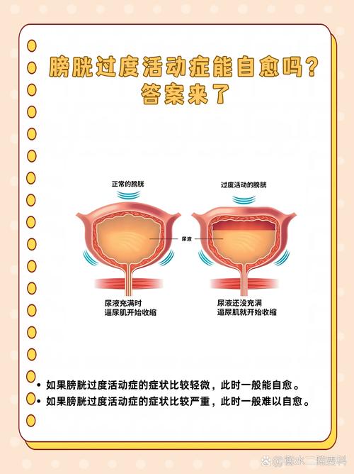 性欲低和膀胱过度活动有关吗