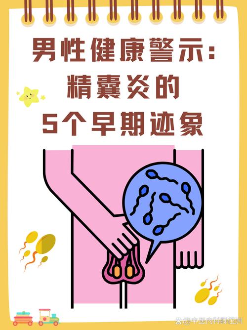 性欲低和精囊炎有关吗