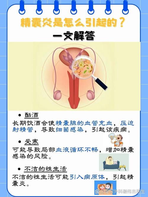 性欲低和精囊炎有关吗