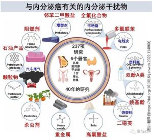 性欲低和内分泌干扰物有关吗?-两性知识丨两性健康--你想了解的我都知道